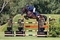 Welshman whizzes round to win at Hickstead